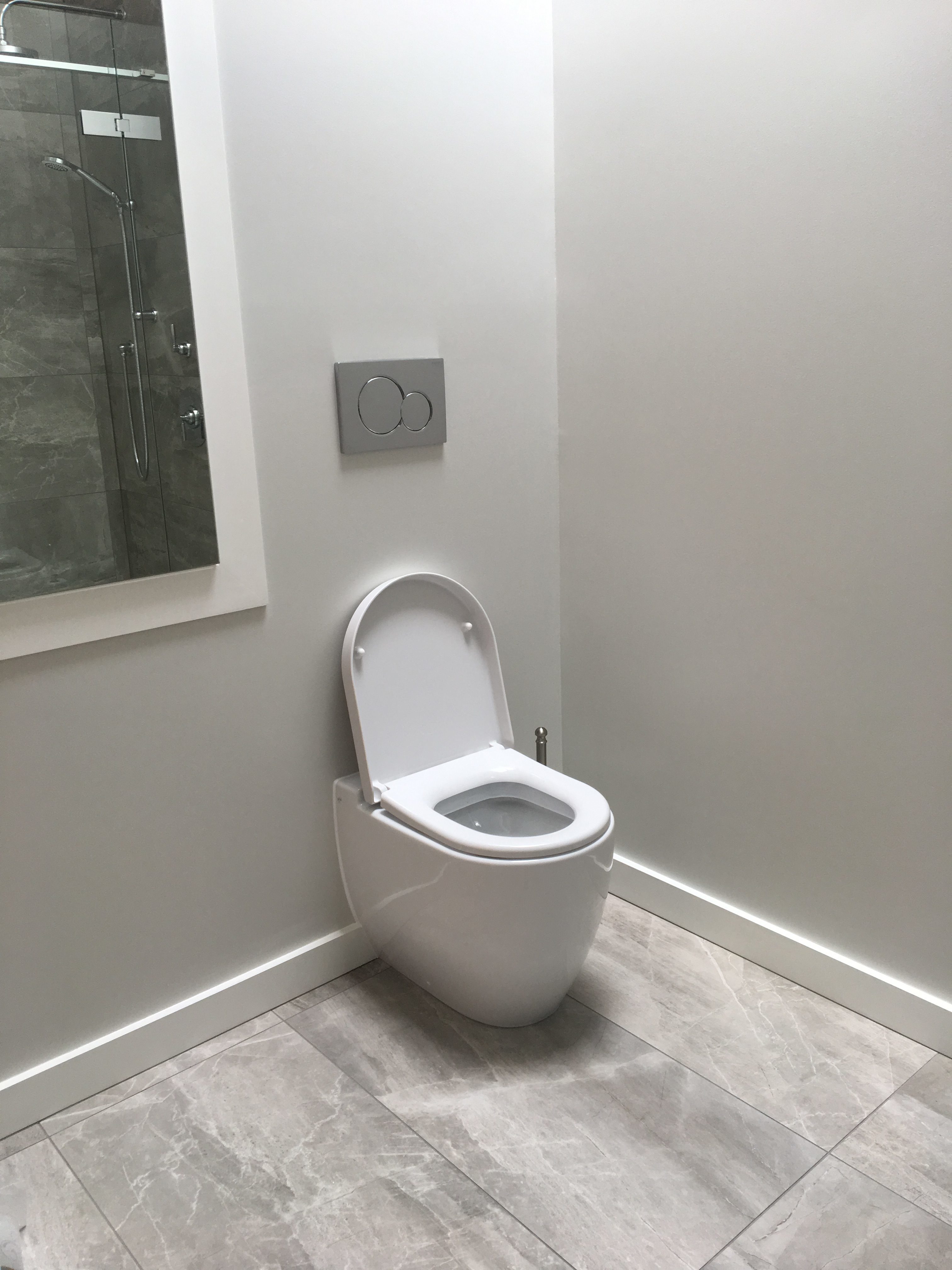 Ensuite Toilet