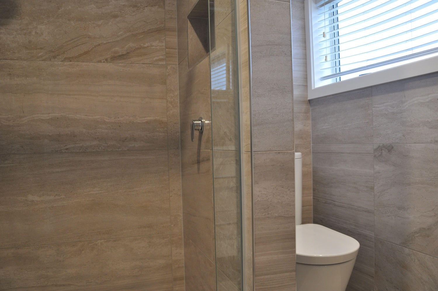 Ensuite shower shelf and toilet